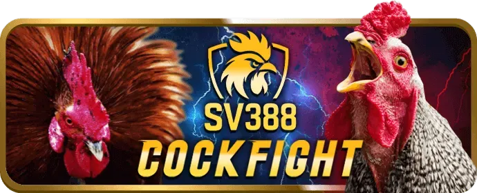 Hoàn trả hàng ngày 138bet